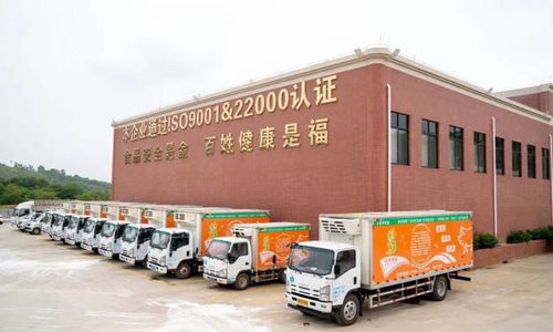 廣東羅定天溪冷鏈物流產地倉一期項目正式動工，助力海淘物流升級